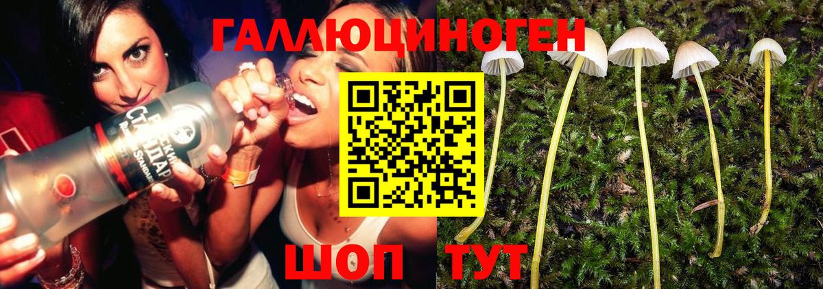 Новокубанск  Галлюциногенные грибы GOLDEN TEACHER  Галлюциногенные грибы прущие грибы  Вход с VPN 