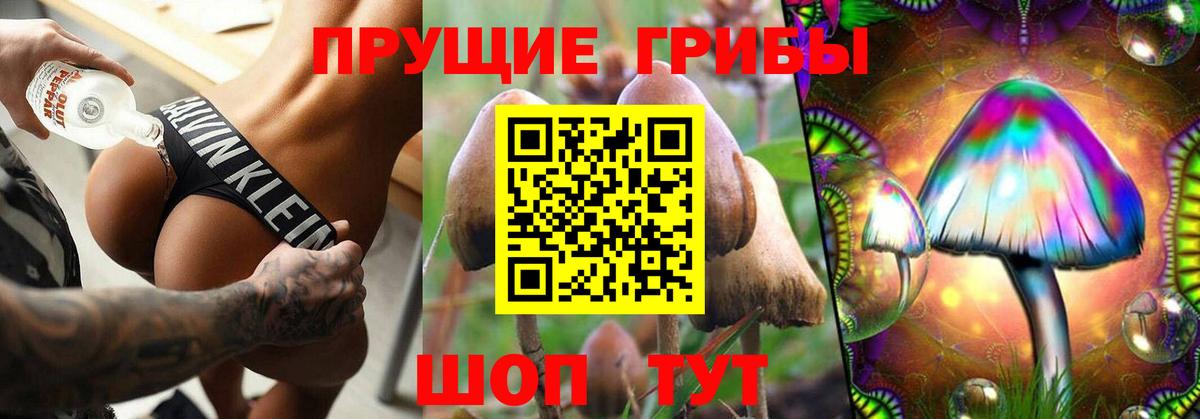 Галлюциногенные грибы Cubensis Новокубанск